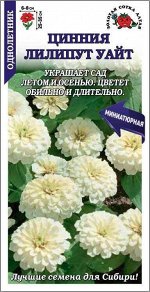 Цветы Цинния Лилипут Уайт ЦВ/П (СОТКА) 0,2гр однолетник 25-35см