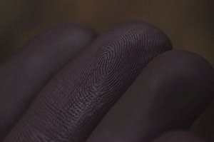 Танцующая со Змеями