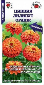 Цветы Цинния Лилипут Оранж ЦВ/П (СОТКА) 0,2гр однолетник 25-35см