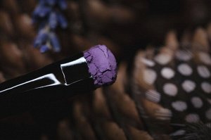 Собеседница Мудрого Филина