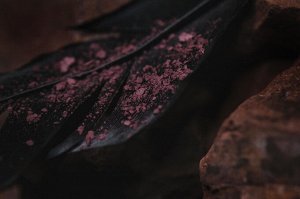 Пифия Рассыпчатые тени для век Sigil inspired Tammy Tanuka, тон "Пифия", локация Темный Замок.

 Техническая информация:

 Цвет: Дымчатый маув. Все любят маув, поэтому еще один оттенок в ряду - на это