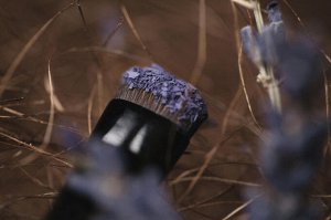 Вождь Лавандовых Шиншилл