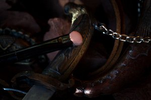 Тени для век Влюбленная Разбойница