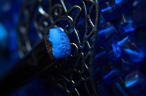Гений Рассыпчатые тени для век Sigil inspired Tammy Tanuka, тон "Гений", локация Темный Замок.

 Техническая информация:

 Цвет: Пастельный неоново-синий. Финиш - матовый.

 Рекомендации по нанесению: