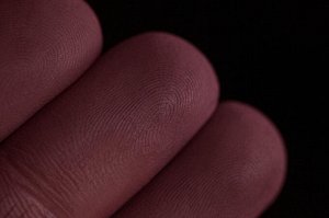 Покоряющаяся Страсти