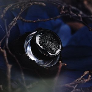 Сирин Рассыпчатые тени для век Sigil inspired Tammy Tanuka, тон "Сирин", локация Драконий Пик.

 Техническая информация:

 Цвет: Показывает свою красоту в приглушенном искусственном освещении. Густой,