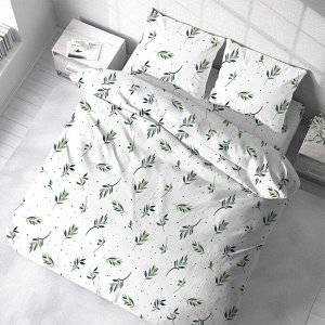 Постельное белье 2-спальное, простыня 215х220 см, 2 наволочки 50х70 см, пододеяльник 175х215 см, Bravo, поплин, Олив