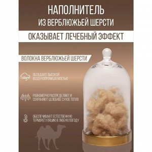 Одеяло 1.5-спальное, 140х205 см, Верблюжья шерсть, 300 г/м2, всесезонное, чехол 100% хлопок, кант, Verossa