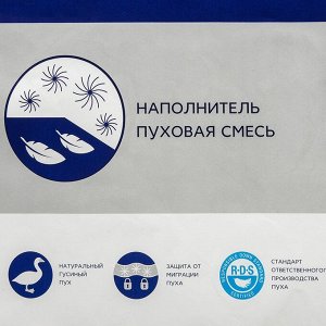 Одеяло 1.5-спальное, 140х205 см, Формула, полупух I кат, пух 60% перо 40%, 400 г/м2, зимнее, чехол тик, кант, Бел-Поль