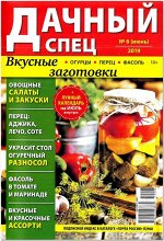 ДАЧНЫЙ СПЕЦ № 6/19