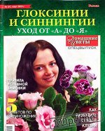 ДОМАШНИЕ ЦВЕТЫ с/в 1/19 март КЛОКСИНИИ И СИННИНГИИ м/ф