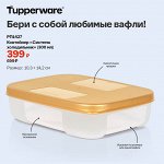 Контейнер &quot;Система холодильник&quot; (300 мл)