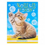 Календарь на магните, отрывной &quot;Коты-1, 2020 год&quot; 9,6 х 12,8 см