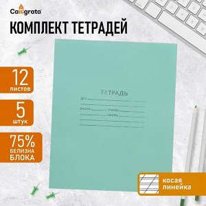 Набор тетрадей, 12 листов в косую линейку, КПК «Зелёная обложка», серые листы, 5 штук