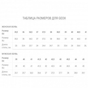 Размерная сетка