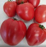 Семена Томат Розовый мед, 5 семян