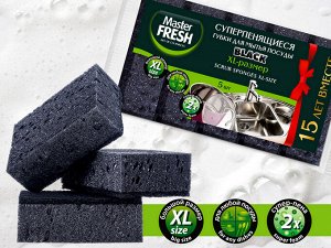 Губки для мытья посуды Master FRESH XL (bubble-поролон) BLACK поролоновые с абразивным слоем 100х70х33мм 5шт.