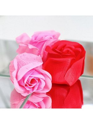 Мыльные розочки, розовые и красные, набор 4 шт.