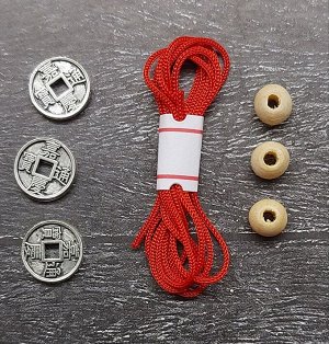 Комплект монет для установки денежного желания.