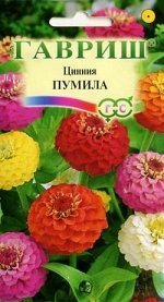 С Ц Цинния Пумила махровая смесь, до 40см, однол 0,5гр Гавриш/ЦВ