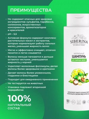 Шампунь "Для жирных волос" 400 мл