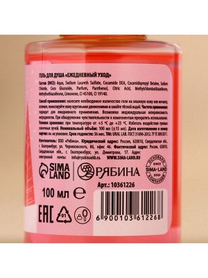 Подарочный набор новогодний «Мечтай»: гель для душа 2x100 мл и мочалка для тела, URAL LAB