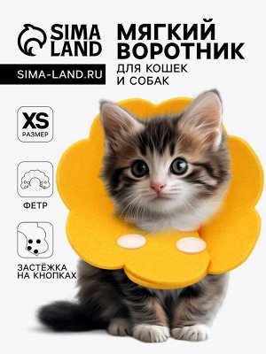 Ветеринарный воротник из фетра "Ромашка", размер XS, жёлтый
