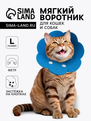 Ветеринарный воротник из фетра "Ромашка", размер L, синий