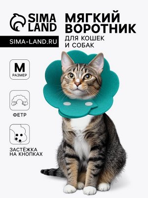 Ветеринарный воротник из фетра "Ромашка", размер M, ярко-бирюзовый
