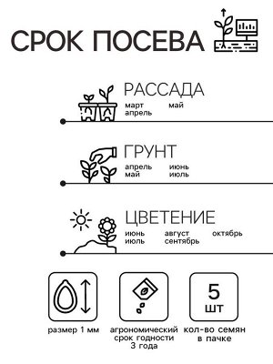 Семена комнатных цветов Кальцеолярия "Башмачки", 5 шт.