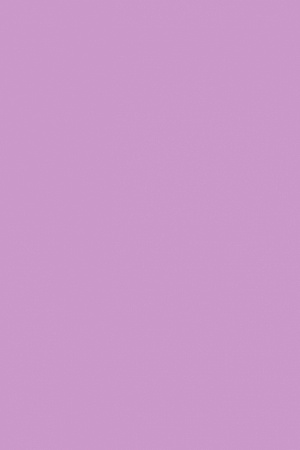 EVA Светло-фиолетовый