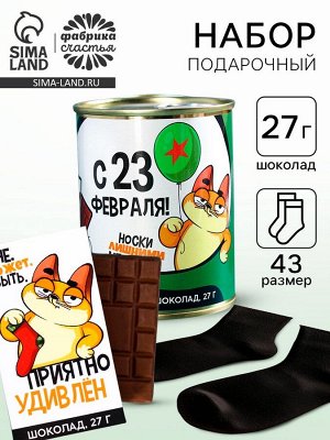 Подарочный набор «23 февраля», шоколад 27 г и носки мужские 43 размер