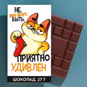 Подарочный набор «23 февраля», шоколад 27 г и носки мужские 43 размер