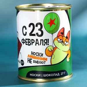 Подарочный набор «23 февраля», шоколад 27 г и носки мужские 43 размер