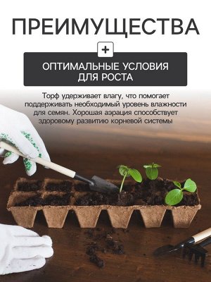 Набор для рассады: торфяная кассета, 24 ячейки по 50 мл, поддон 31x20 см, зелёный, пластик, Экоторф