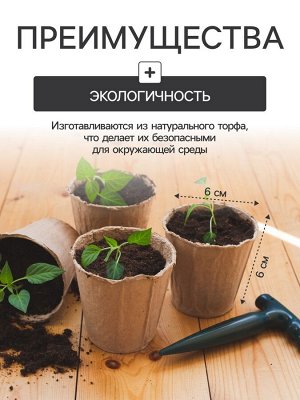Набор для рассады: торфяной горшок 6x6 см, кассета на 40 ячеек, Greengo