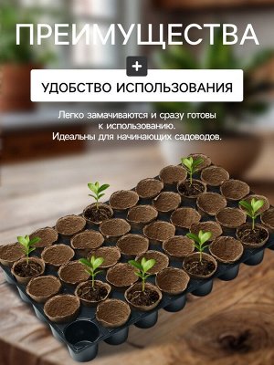 Набор для рассады: торфяной горшок 6x6 см, кассета на 40 ячеек, Greengo
