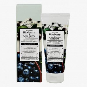 Пенка, для умывания с черникой и ягодами асай, GRACEDAY, 100 г