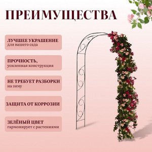 Арка садовая, 250 * 120 * 30 см, для вьющихся растений, металлическая, зелёная, «Узор-1»