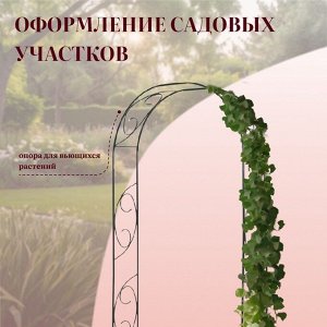 Арка садовая, 250x120x30 см, для вьющихся растений, металлическая, зелёная, «Узор-1»