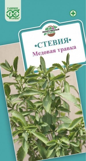 Пряность Стевия Медовая травка ЦВ/П (ГАВРИШ) 7шт многолетник