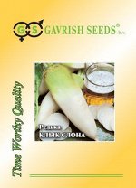 Редька Клык слона (китайская, дайкон) 25,0 г