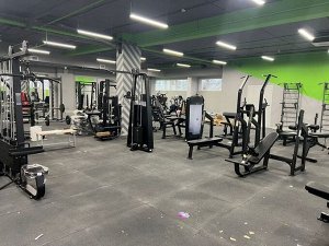 Скамья для жима олимпийская Gymmaster DH23