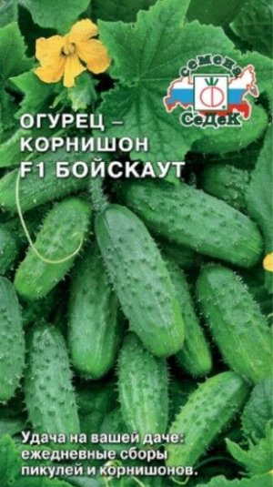 Огурец Бойскаут F1 ЦВ/П (СЕДЕК) 0,3гр среднеранний