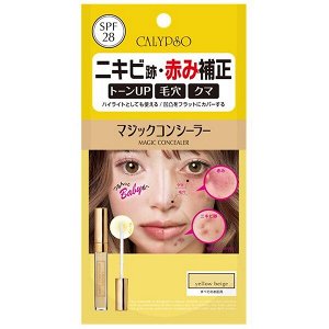 CALYPSO Magic Concealer - волшебный корректор для лица в разных оттенках