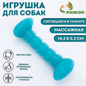 Жевательная игрушка для собак "Палка", светящаяся, массажная, 14,2 х 5,2 см, голубая