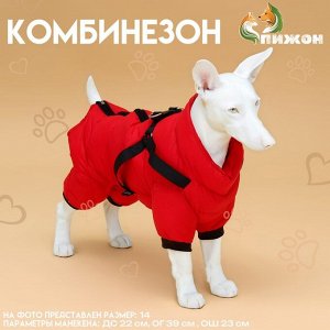 Комбинезон для собак со шлейкой "Моден", размер 14 (ДС 32, ОГ 42, ОШ 31 см), красный