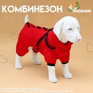 Комбинезон для собак со шлейкой "Моден", размер 16 (ДС 36, ОГ 46, ОШ 35 см), красный
