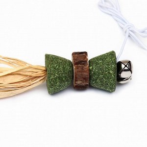 Игрушка - дразнилка для кошек из кошачьей мяты, с кольцом на палец, 4.8 см
