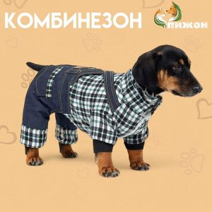 СИМА-ЛЕНД Комбинезон &quot;Men&quot;, размер XS (ДС 20 см, ОГ 30 см, ОШ 20 см), синий
